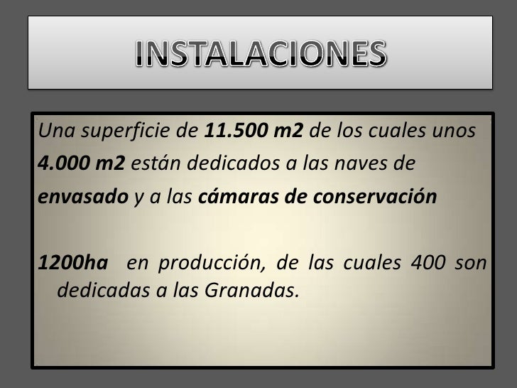 Casino las bayas elche