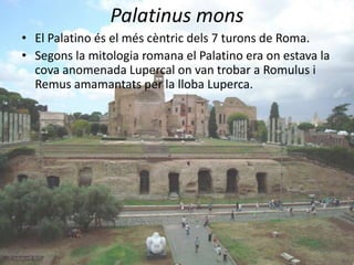 Palatinus mons
• El Palatino és el més cèntric dels 7 turons de Roma.
• Segons la mitologia romana el Palatino era on estava la
  cova anomenada Lupercal on van trobar a Romulus i
  Remus amamantats per la lloba Luperca.
 