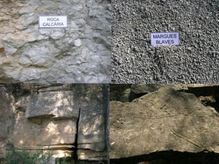 Itinerari per la Vall del Flequer