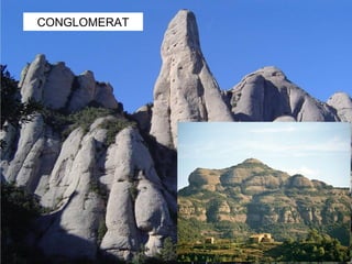 CONGLOMERAT

 