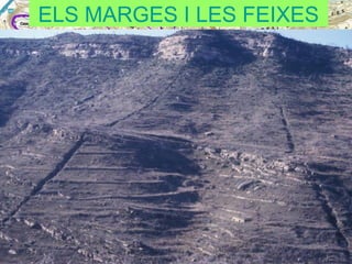 ELS MARGES I LES FEIXES

 