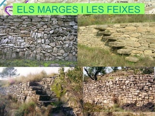 ELS MARGES I LES FEIXES

 