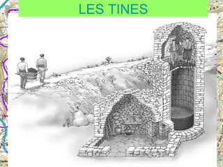 LES TINES

 
