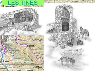 LES TINES

 