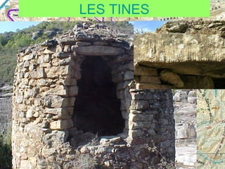 LES TINES

 