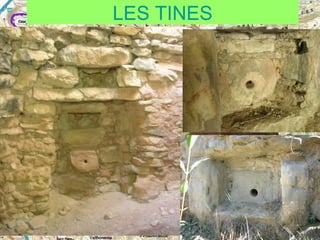 LES TINES

 