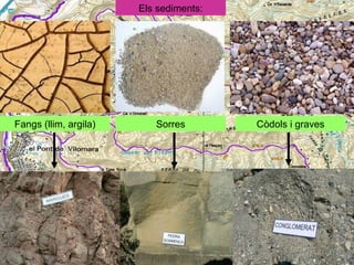 Els sediments:

Fangs (llim, argila)

Sorres

Còdols i graves

 