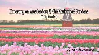 Itinerary on Amsterdam & the Keukenhof Gardens
(Tulip Garden)
By- Abhinav Maurya
 