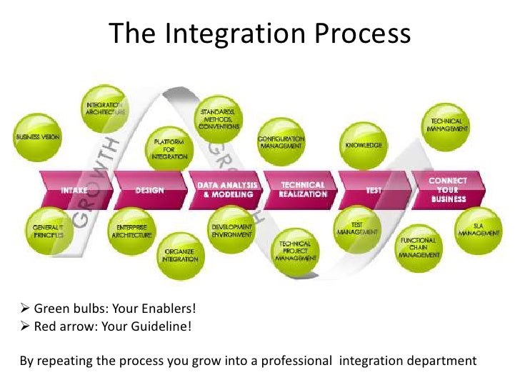 IT Integration: Managing the Integration Process