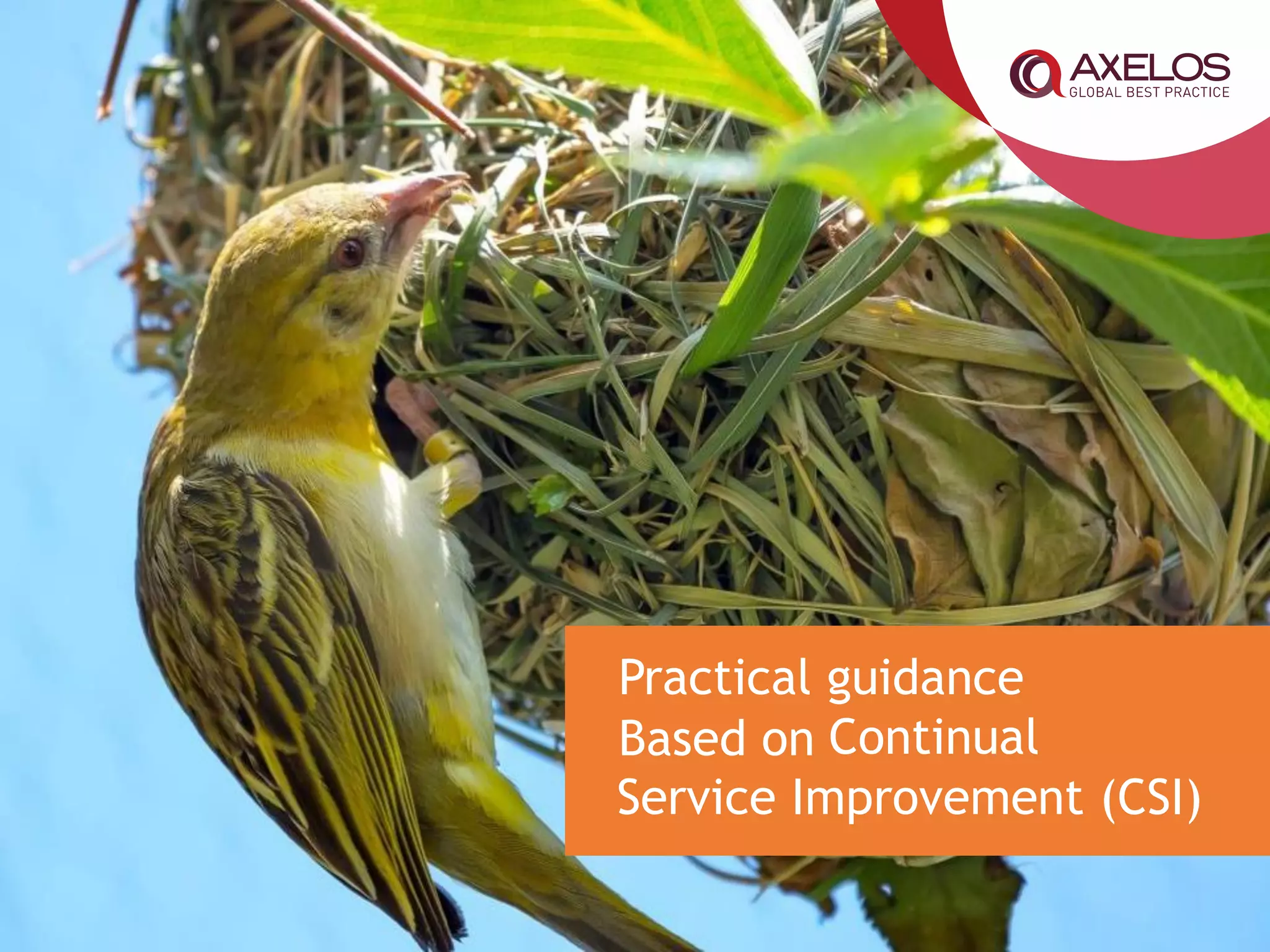 What is OBASHI?
“The understanding of the flow of data is
fundamental to an organisation’s financial well-
being” obashi.co.uk
OBASHI creates a big picture of your organisation
and what’s important
The big picture supports meaningful conversations
between the business and IT
 