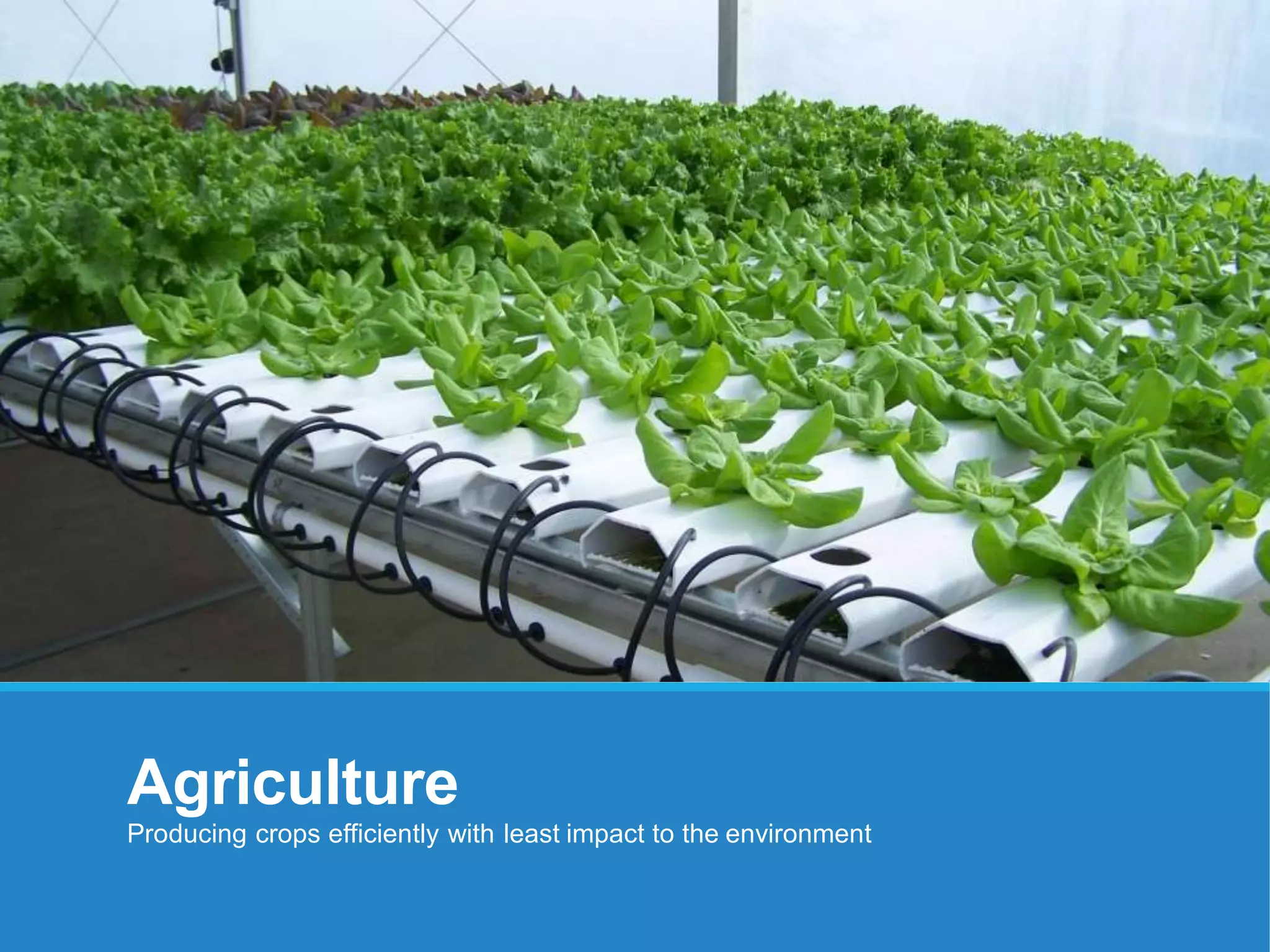 Agriculture
Producing crops efficiently with least impact to the environment
 