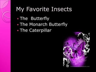 My Favorite InsectsThe  ButterflyThe Monarch ButterflyThe Caterpillar