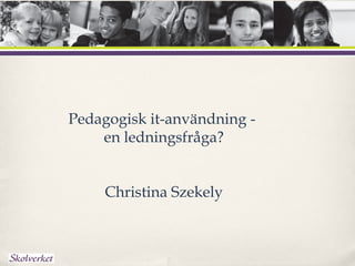 Pedagogisk it-användning -
    en ledningsfråga?


     Christina Szekely
 