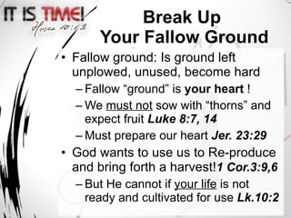 Scripture Fallow Ground It Is Time | PPT