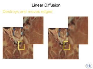 Linear Diffusion 