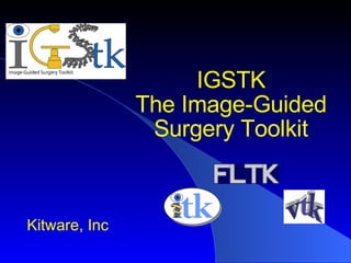 IGSTK The Image-Guided Surgery Toolkit Kitware, Inc 