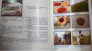 Bhuvana N, Ph.D Student 22
 