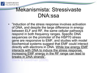Mekanismista: Stressivaste DNA:ssa <ul><li>” Induction of the stress response involves activation of DNA, and despite the ...