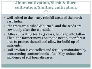 Jhum cultivation/Slash & Burn
cultivation/Shifting cultivation.
 well suited to the heavy rainfall areas of the north
east India.
 the trees are slashed & burned and the seeds are
sown only after the 1st rainfall.
 After cultivating for 2 - 3 years, fields go into fallow.
Then, the farmer moves on to the next plot or forest
area to protect the soil and allow for build up of
nutrients.
 soil erosion is controlled and fertility maintained by
constructing contour bunds often May reduce the
incidence of soil born diseases.
 