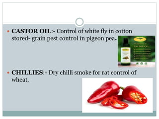  CASTOR OIL:- Control of white fly in cotton
stored- grain pest control in pigeon pea.
 CHILLIES:- Dry chilli smoke for rat control of
wheat.
 