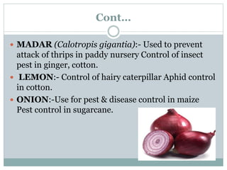 Cont…
 MADAR (Calotropis gigantia):- Used to prevent
attack of thrips in paddy nursery Control of insect
pest in ginger, cotton.
 LEMON:- Control of hairy caterpillar Aphid control
in cotton.
 ONION:-Use for pest & disease control in maize
Pest control in sugarcane.
 