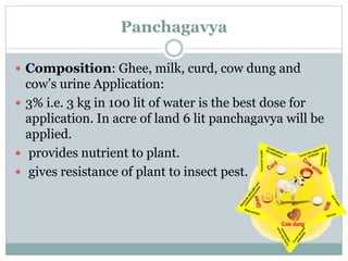 Panchagavya
 Composition: Ghee, milk, curd, cow dung and
cow’s urine Application:
 3% i.e. 3 kg in 100 lit of water is the best dose for
application. In acre of land 6 lit panchagavya will be
applied.
 provides nutrient to plant.
 gives resistance of plant to insect pest.
 