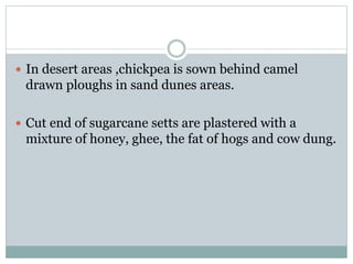  In desert areas ,chickpea is sown behind camel
drawn ploughs in sand dunes areas.
 Cut end of sugarcane setts are plastered with a
mixture of honey, ghee, the fat of hogs and cow dung.
 