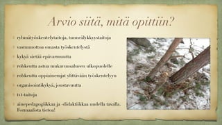 Arvio siitä, mitä opittiin?"
ryhmätyöskentelytaitoja, tunneälykkyystaitoja
vastuunottoa omasta työskentelystä
kykyä sietää epävarmuutta
rohkeutta astua mukavuusalueen ulkopuolelle
rohkeutta oppiainerajat ylittävään työskentelyyn
organisointikykyä, joustavuutta
tvt-taitoja
ainepedagogiikkaa ja -didaktiikkaa uudella tavalla.
Formaalista tietoa!
 