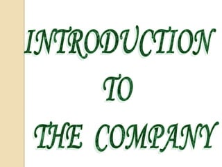 INTRODUCTION  TO  THE  COMPANY
