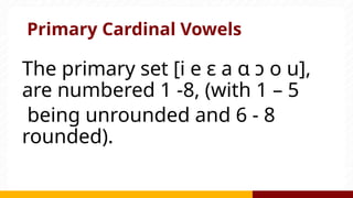 Primary Cardinal Vowels
The primary set [i e ɛ a ɑ ɔ o u],
are numbered 1 -8, (with 1 – 5
being unrounded and 6 - 8
rounded).
 
