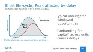 16© Copyright 2016 EMC Corporation. All rights reserved.
Typical unbudgeted
windowed
opportunities
“Panhandling for
capital” across units
causes delays
Short life-cycle; Peak affected by delay
Tactical opportunities with a small window
Source: Black Swan Farming
 