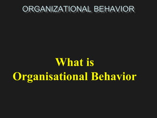 ORGANIZATIONAL BEHAVIOR What is  Organisational Behavior 
