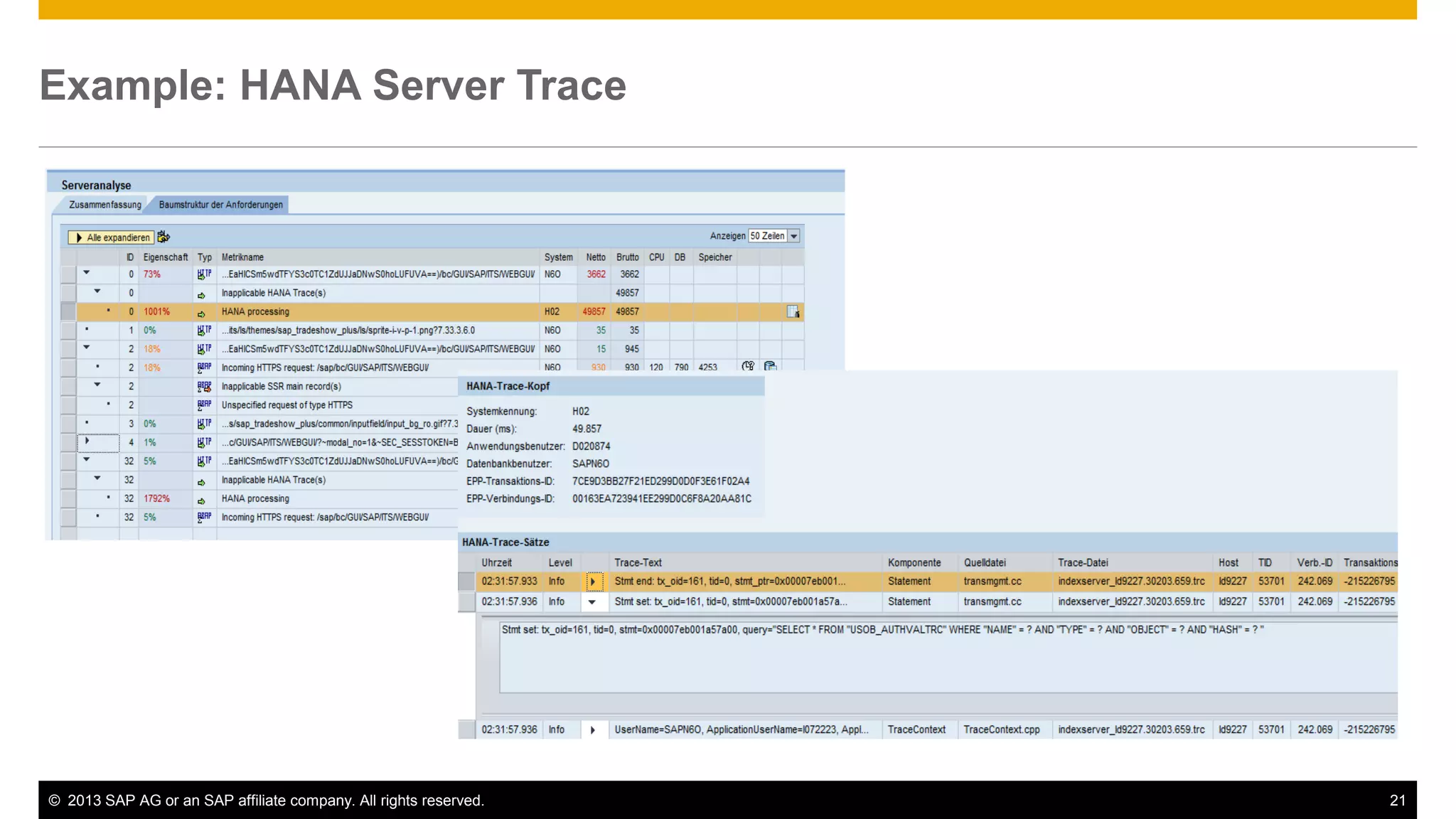 Example: HANA Server Trace 
© 2013 SAP AG or an SAP affiliate company. All rights reserved. 21 
 
