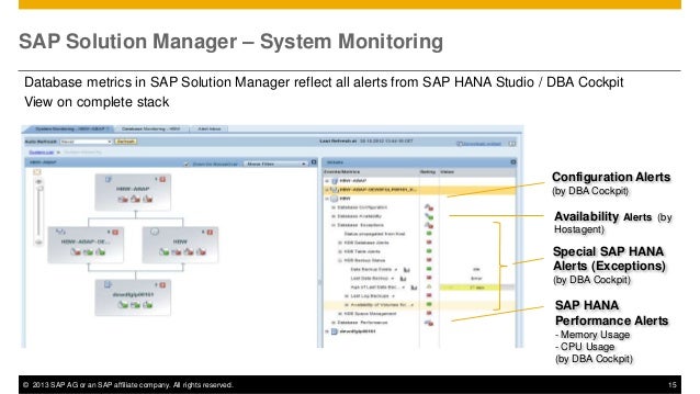 Itm110 How Does Sap Solution Manager Support Sap Hana - 