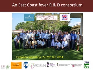 East Coast fever—Outlook for a new vaccine 