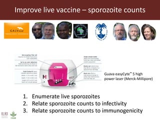 East Coast fever—Outlook for a new vaccine 