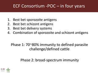 East Coast fever—Outlook for a new vaccine 