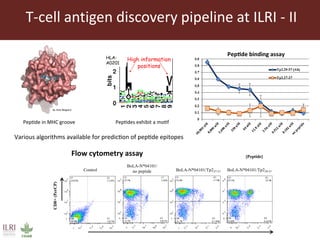 East Coast fever—Outlook for a new vaccine 