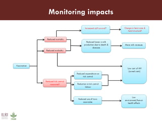 Towards increased uptake and impact assessment of ITM vaccine: A research agenda 