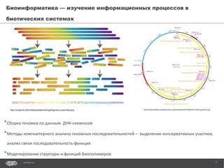 It meet up 2015 biology bioinformatics | PPT