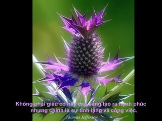 Không phải giàu có hay cao sang tạo ra hạnh phúc
nhưng chính là sự tĩnh lặng và công việc.
Thomas Jefferson
 