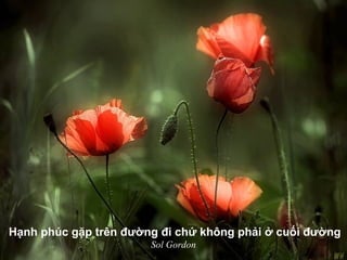Hạnh phúc gặp trên đường đi chứ không phải ở cuối đường
Sol Gordon
 