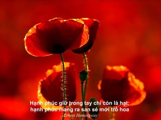 Hạnh phúc giữ trong tay chỉ còn là hạt;
hạnh phúc mang ra san sẻ mới trổ hoa
Ernest Hemingway
 