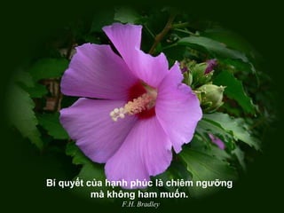 Bí quyết của hạnh phúc là chiêm ngưỡng
mà không ham muốn.
F.H. Bradley
 