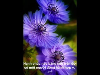 Hạnh phúc nào bằng nếu trên đời
có một người đồng hành hợp ý.
nvh
 