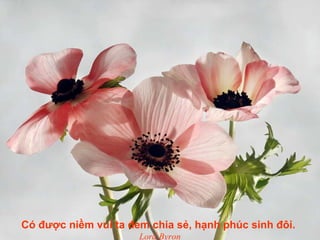 Có được niềm vui ta đem chia sẻ, hạnh phúc sinh đôi.
Lord Byron
 