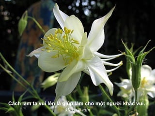 Cách làm ta vui lên là giúp làm cho một người khác vui.
Mark Twain
 