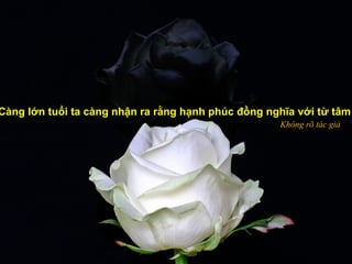 Càng lớn tuổi ta càng nhận ra rằng hạnh phúc đồng nghĩa với từ tâm
Không rõ tác giả
 