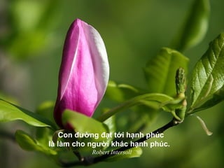 Con đường đạt tới hạnh phúc
là làm cho người khác hạnh phúc.
Robert Intersoll
 