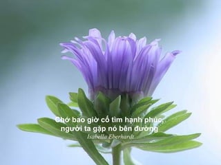 Chớ bao giờ cố tìm hạnh phúc,
người ta gặp nó bên đường
Isabella Eberhardt
 